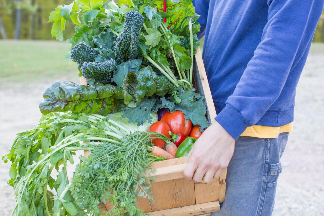 Вилла Woodstock Sustainable Farms Номер фото