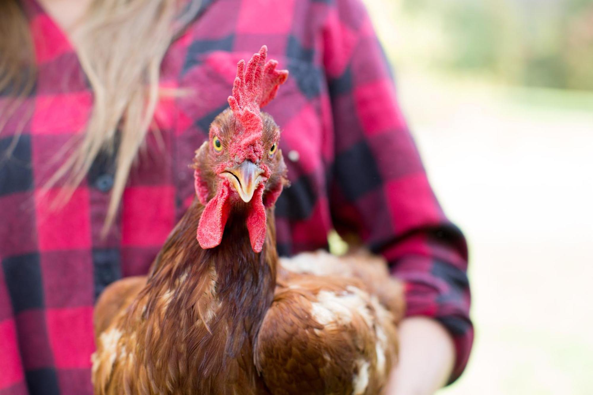 Вилла Woodstock Sustainable Farms Экстерьер фото
